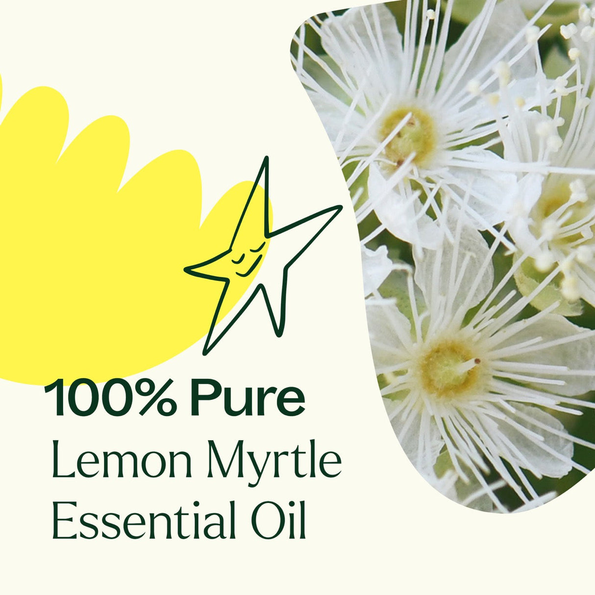 Lemon Myrtle Essential Oil