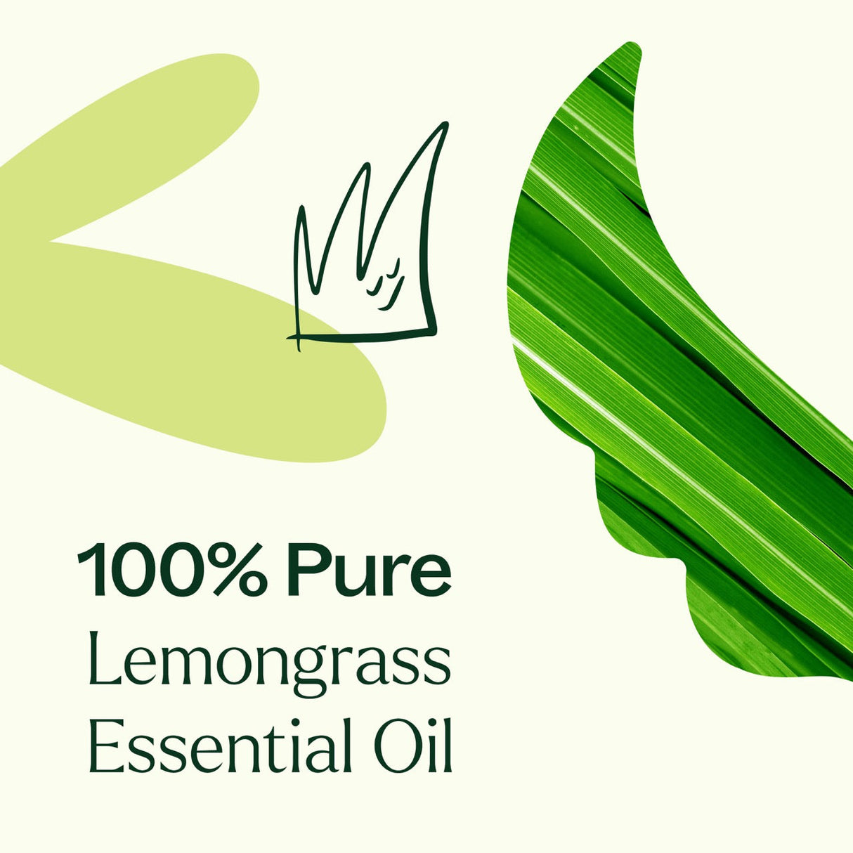 Lemongrass Essential Oil