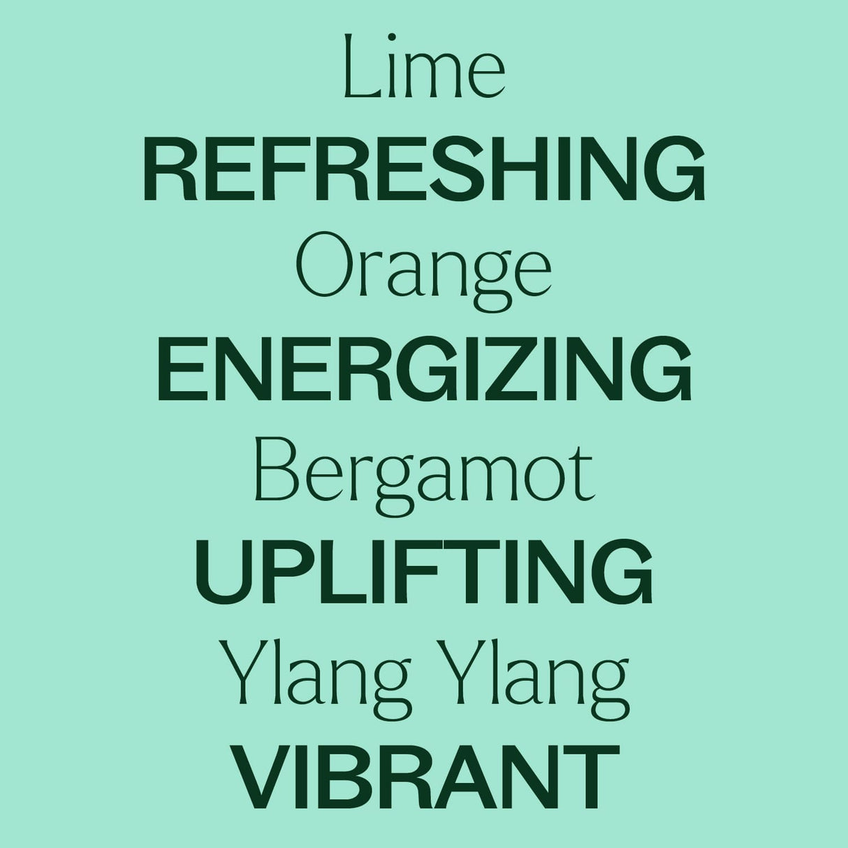 Lime Twist Essential Oil Blend