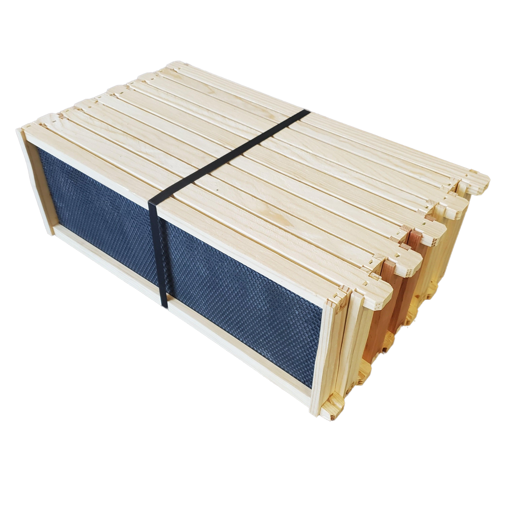 Medium 6 1/4-Inch Frame, Grooved Top / Grooved Bottom With Double Wax Foundation