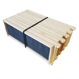 Medium 6 1/4-Inch Frame, Grooved Top / Grooved Bottom With Double Wax Foundation
