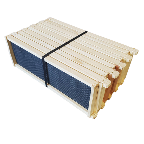 Medium 6 1/4-Inch Frame, Grooved Top / Grooved Bottom With Double Wax Foundation