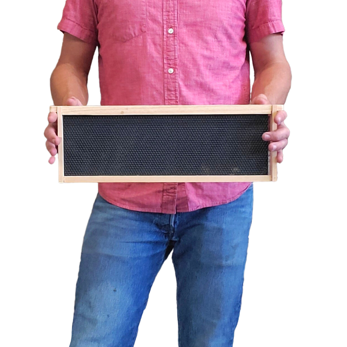 Medium 6 1/4-Inch Frame, Grooved Top / Grooved Bottom With Double Wax Foundation
