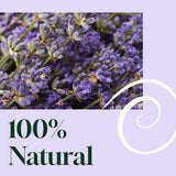 Blissful Dreams Lavender Pillow Spray 2oz