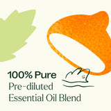 Motion Sickness Essential Oil Blend Pre-Diluted Roll-On
