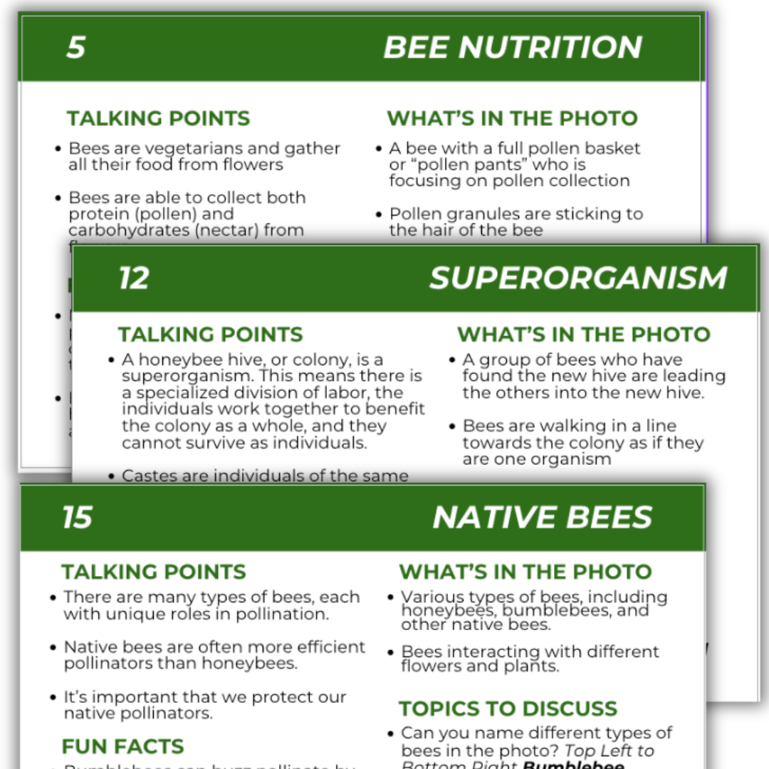 Educational Beekeeping Cards