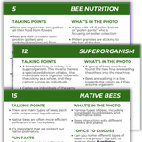 Educational Beekeeping Cards