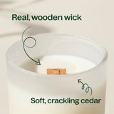 Orange Soleil Naturally Scented Candle