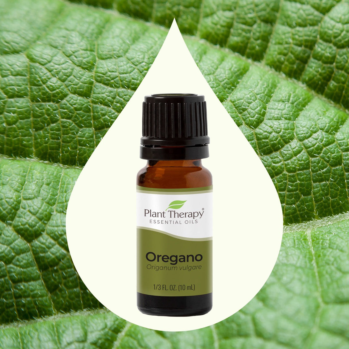 Oregano Essential Oil