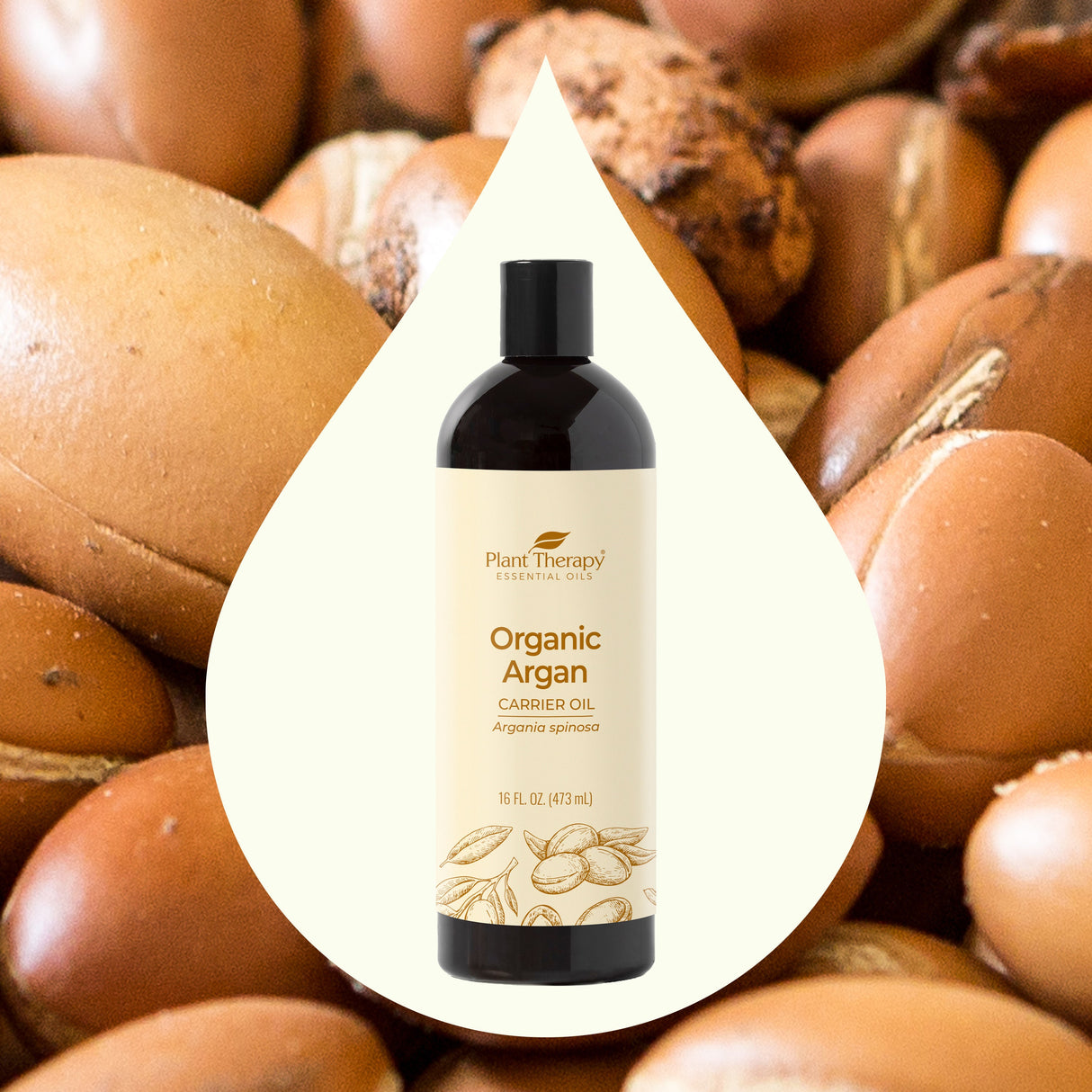 Organic Argan Carrier Oil