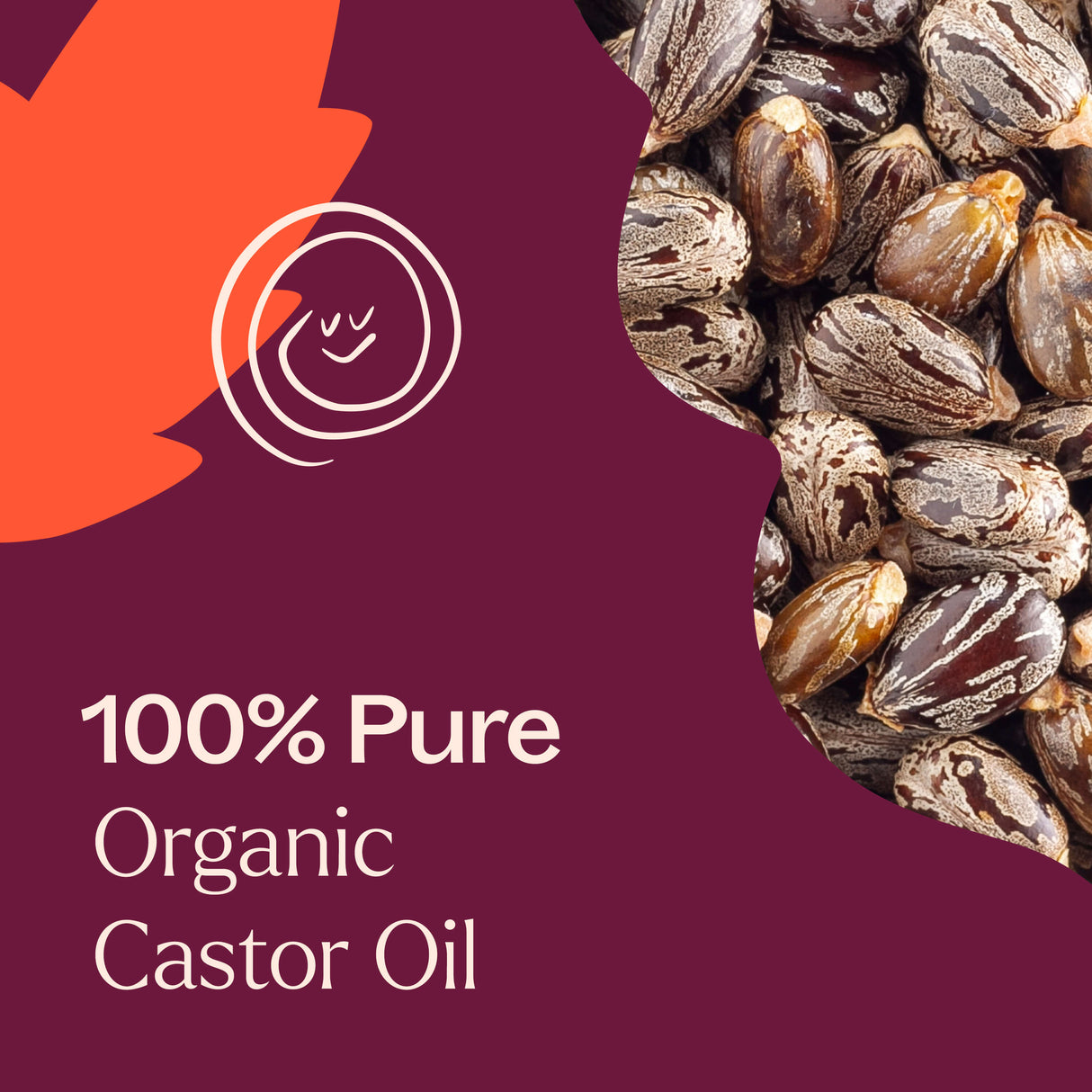 Organic Castor Oil Starter Set