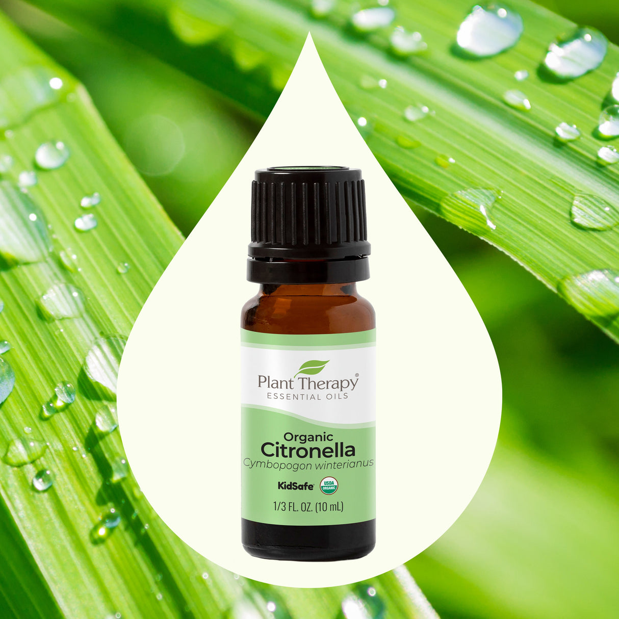 Organic Citronella Essential Oil