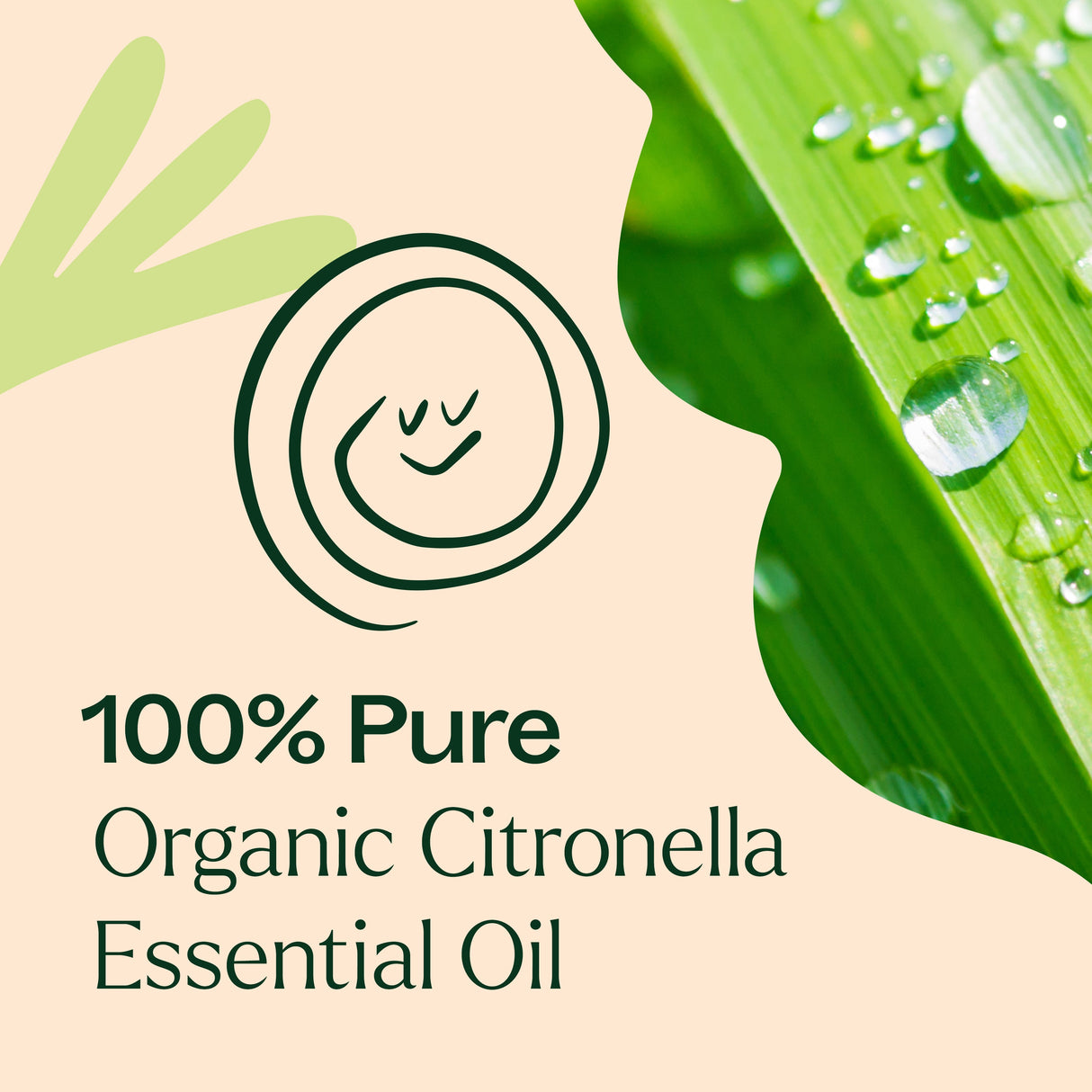 Organic Citronella Essential Oil