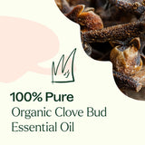 Organic Clove Bud Essential Oil