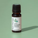 Organic Eucalyptus Globulus 5-Pack