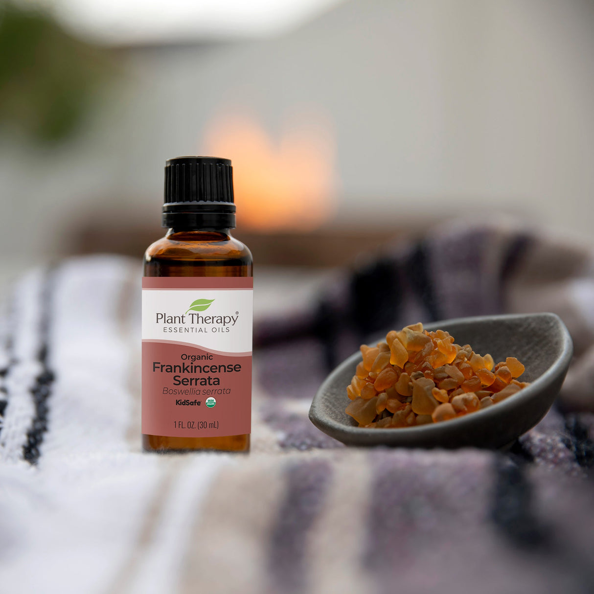 Organic Frankincense Serrata Essential Oil