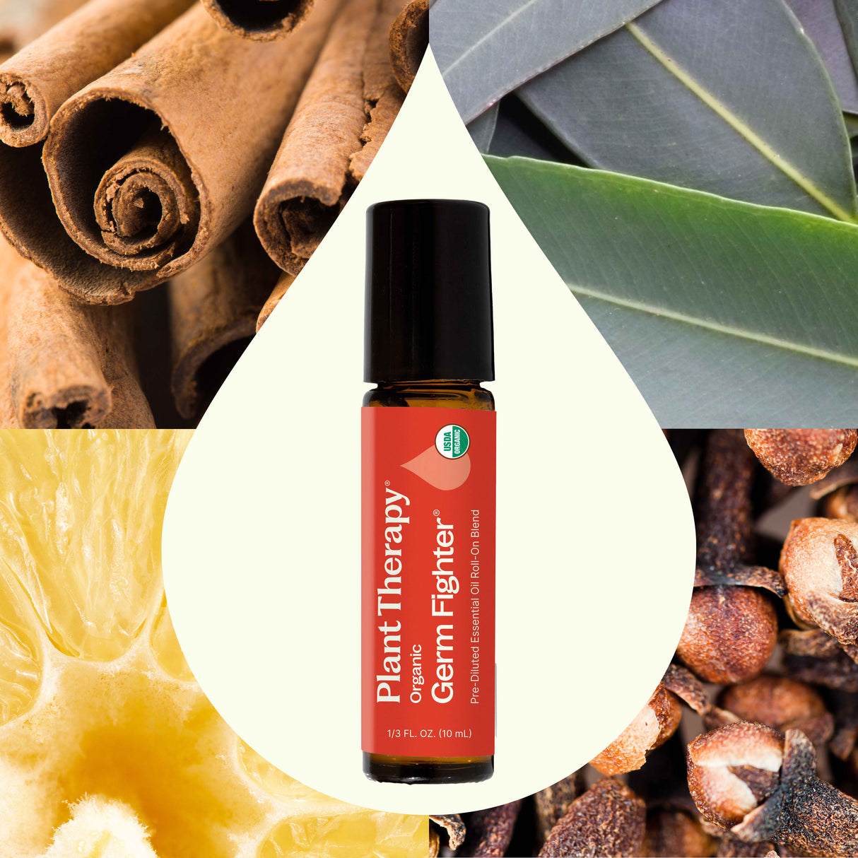 Organic Germ Fighter®️ Essential Oil Blend Pre-Diluted Roll-On