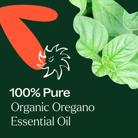 Organic Oregano Essential Oil