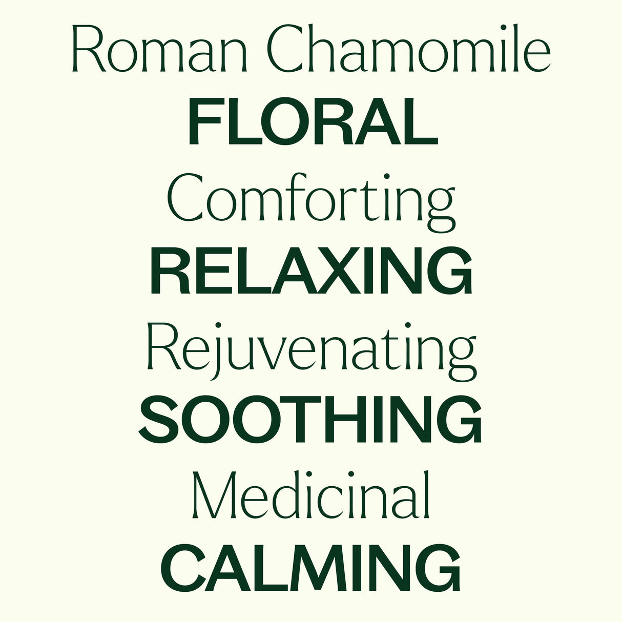 Organic Roman Chamomile Essential Oil