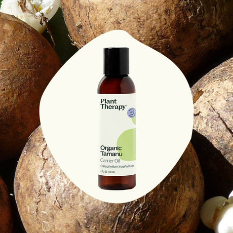 Organic Tamanu Carrier Oil 4 oz