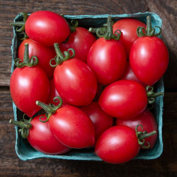 Pink Champagne Cherry Tomato