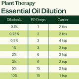 Woodland Retreat™ Essential Oil Blend