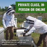 Private Class - Mentor Service