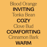 Pumpkin Harvest Essential Oil Blend Set
