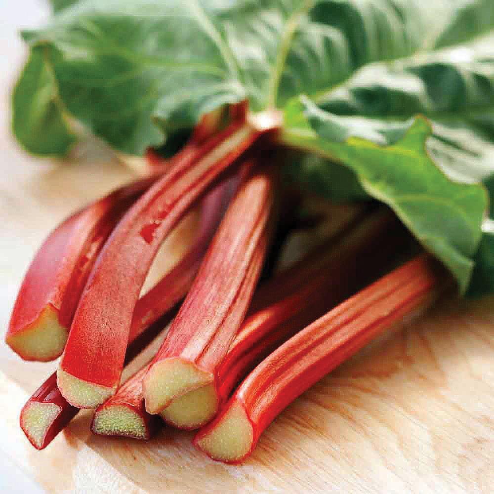 Victoria Rhubarb