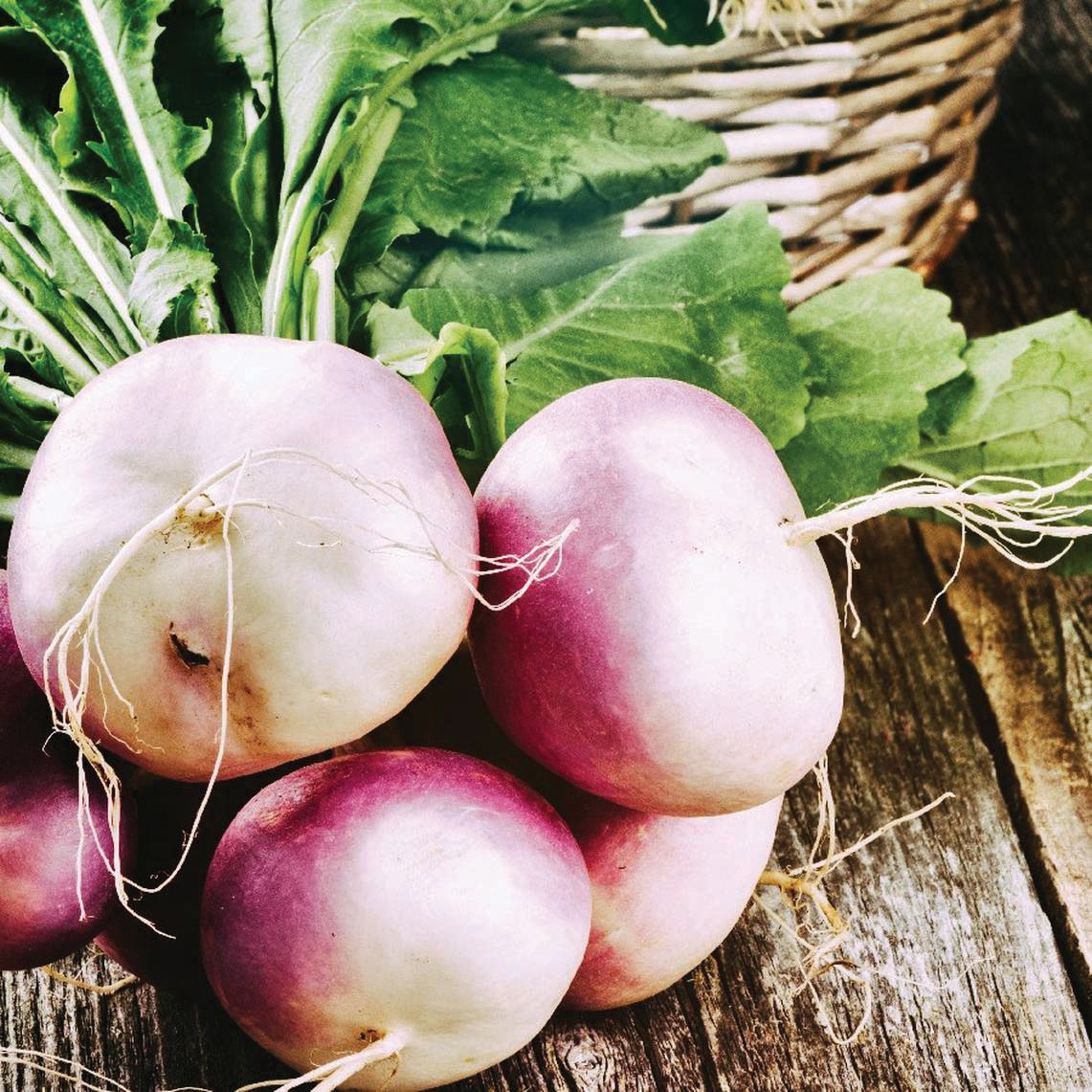 Purple White Globe Turnip