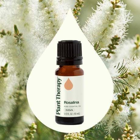 Rosalina Essential Oil