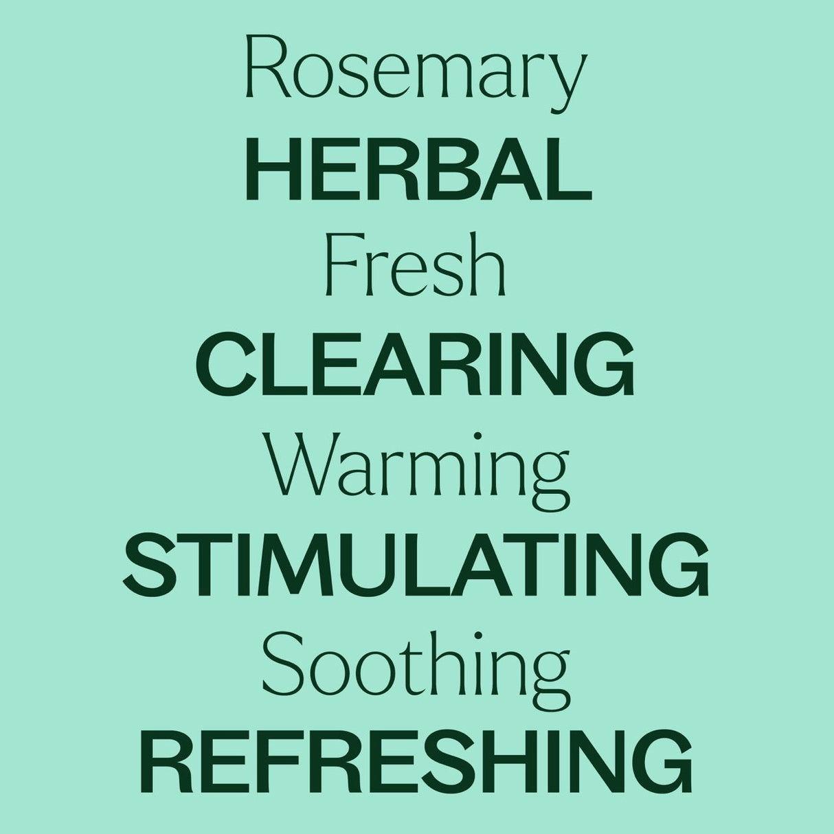 Rosemary 1,8-Cineole Essential Oil