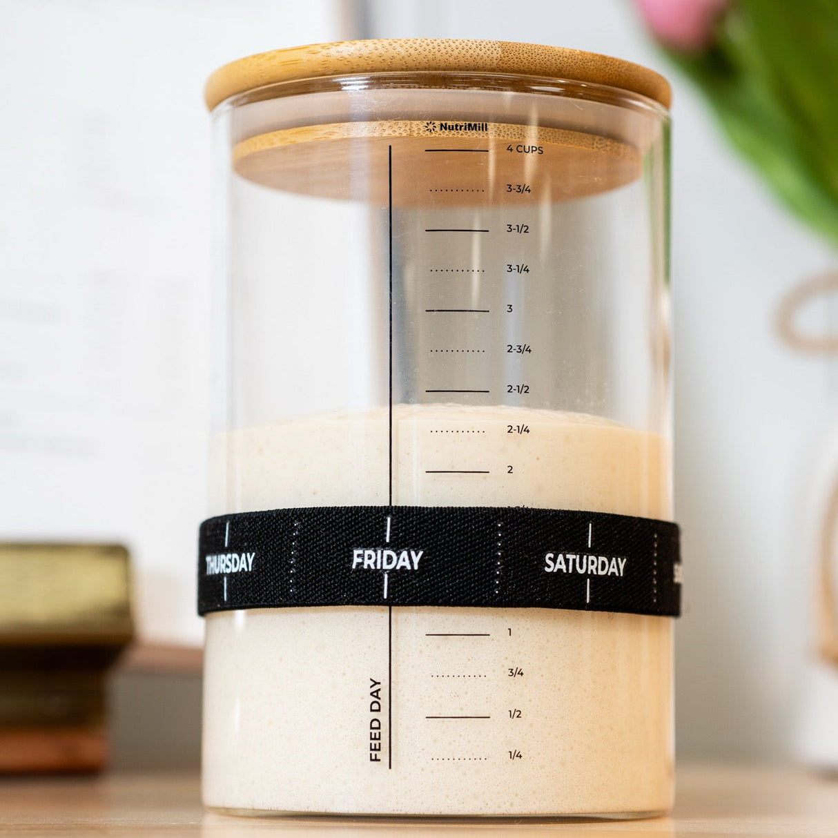 Sourdough Starter Bundle