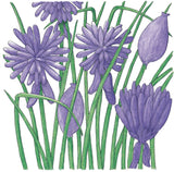 Common Chives