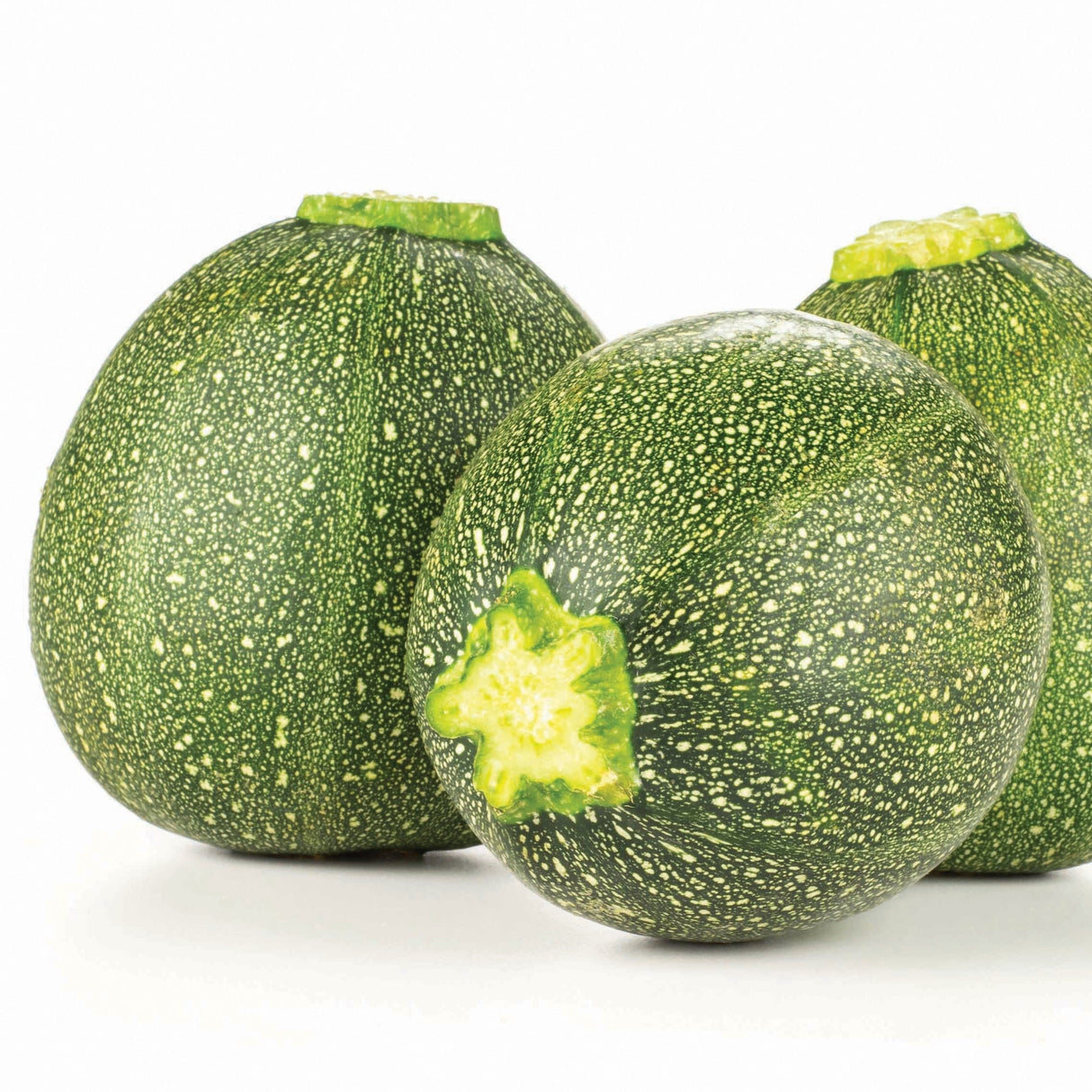 Round Zucchini