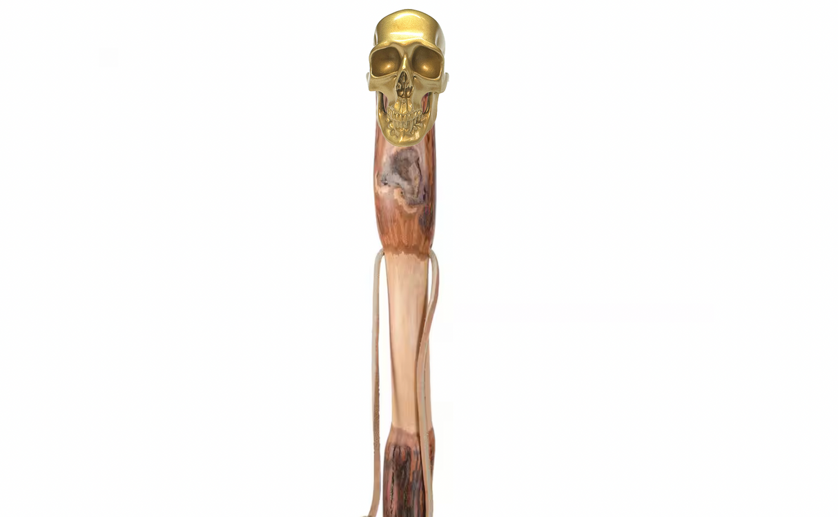 Brass Omni-Mount Colossus Skull by Maratac® 🚨 "Prime" Sale! 🚨