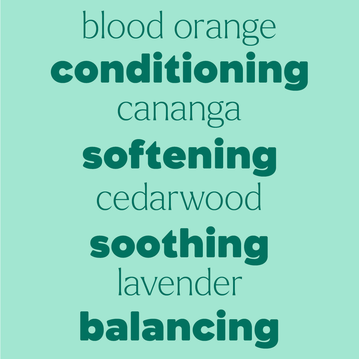 Shampoo Booster Essential Oil Blend