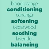 Shampoo Booster Essential Oil Blend