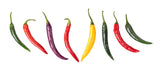 100 MIXED CAYENNE PEPPER Hot Yellow Purple Orange Red Green Capsicum Vegetable Seeds