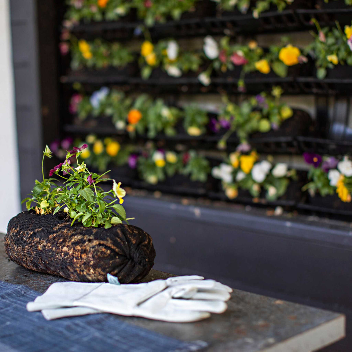 Varden™ Soil-Filled Vardensok