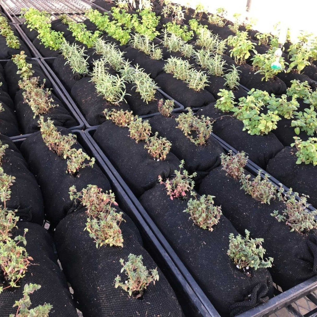 Varden™ Soil-Filled Vardensok