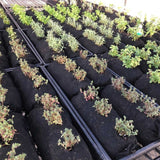 Varden™ Soil-Filled Vardensok