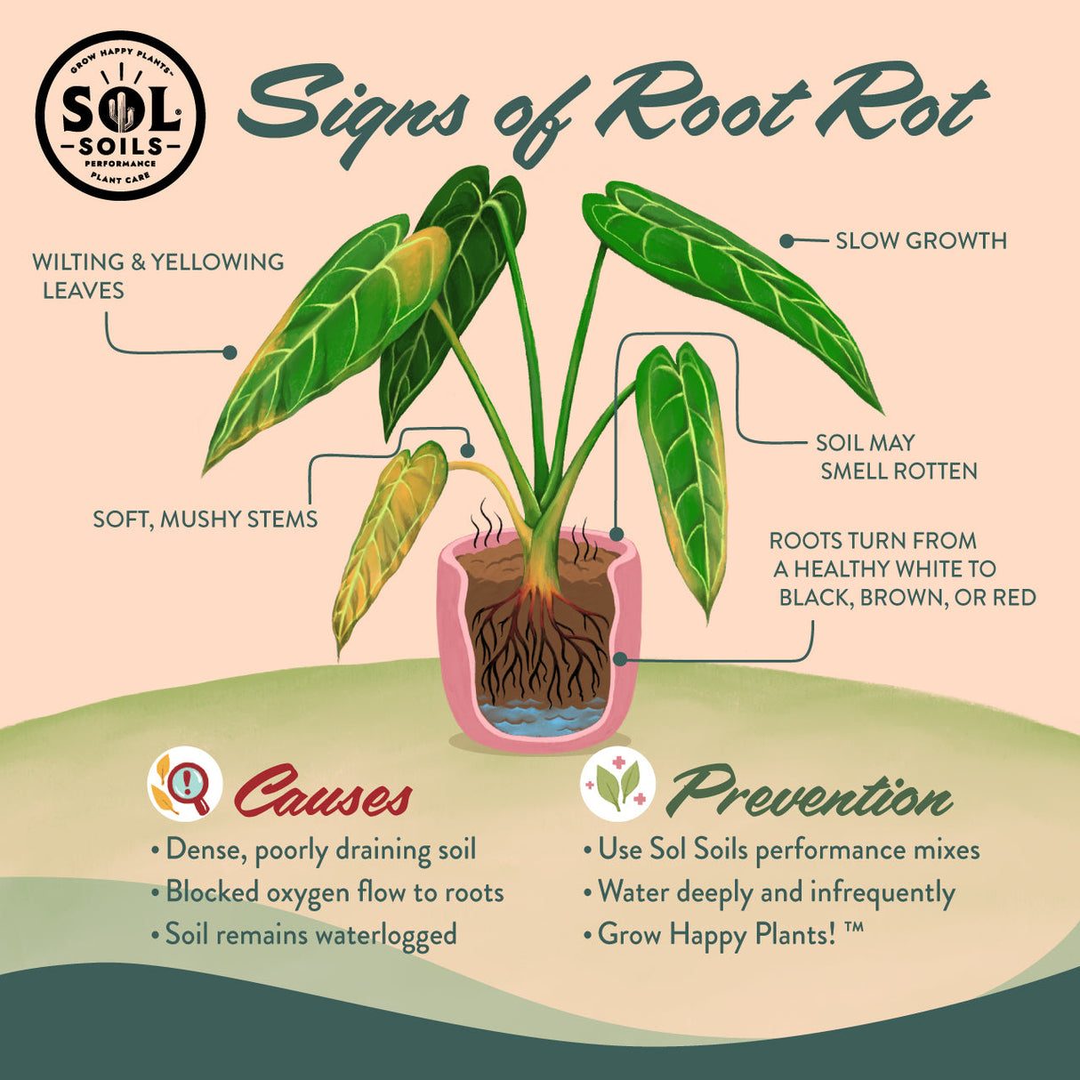 [Pre-Release Exclusive] Seedling and Propagation Mix