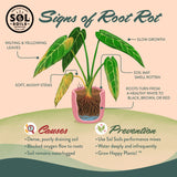 [Pre-Release Exclusive] Seedling and Propagation Mix