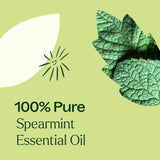 Spearmint Essential Oil