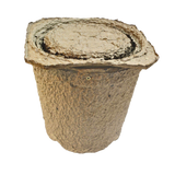 Swarm Trap - Pressed Flower Pot Style
