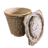 Swarm Trap - Pressed Flower Pot Style