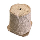 Swarm Trap - Pressed Flower Pot Style