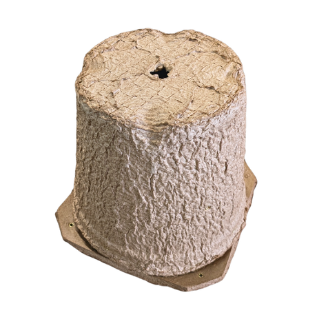 Swarm Trap - Pressed Flower Pot Style