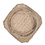 Swarm Trap - Pressed Flower Pot Style
